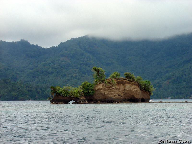 DSC02724.jpg