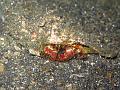 ermite_IMG_2329
