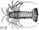 Langouste Langouste
