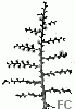Hydraire arbre ramifié Hydraire arbre ramifié
