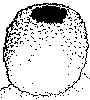 Gobelet Gobelet