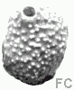Boule nodulée Boule nodulée