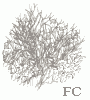 Buisson Buisson