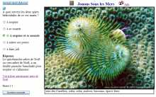 QCM Jouons sous les mers