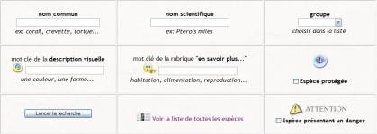 Sélection d'un groupe selon leurs formes