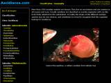 cliquer sur l'image pour accéder au site