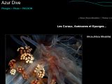 cliquer sur l'image pour accéder au site