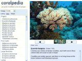 cliquer sur l'image pour accéder au site