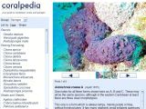 cliquer sur l'image pour accéder au site