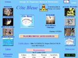 cliquer sur l'image pour accéder au site