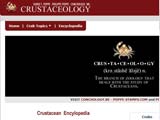 cliquer sur l'image pour accéder au site