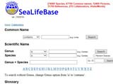 cliquer sur l'image pour accéder au site